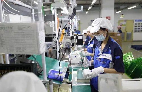 招工怪象 国内工厂没人去,日资工厂排队等,待遇相差太大