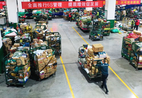 社会 双十一 快递业务忙