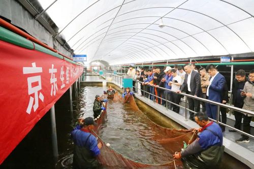 江苏海安 海安 京东 中洋三方联合共建生态农产品产业链
