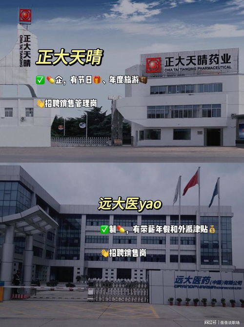 神仙外企 南京篇
