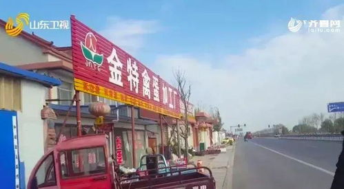 紧急扩散 海安市面上在卖的 山东特产大鹅蛋 ,别再买了
